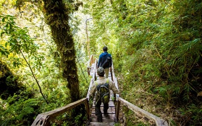 Experiencia turística, una propuesta de valor