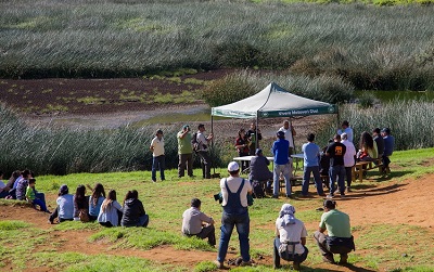CONAF y expertos buscan revertir pérdida de agua en humedal Rano Raraku
