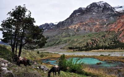 Ruta de Ecoturismo Inclusivo se implementará en la Región de O´Higgins
