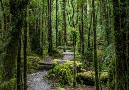 Ruta de los Parques de la Patagonia.