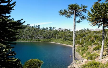 Laguna La-Mula