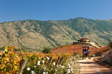 Valle de Colchagua, Chile.