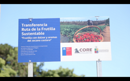 Proyecto “Ruta de la frutilla sustentable”