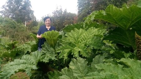 María Luisa y Agroturismo San Antonio.
