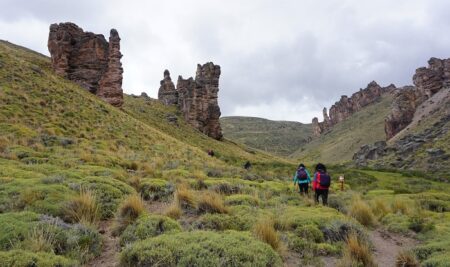 Parque Nacional Patagonia