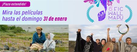 Festival Internacional de Cine Indígena