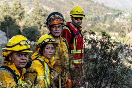 Día Nacional de Brigadistas Forestales