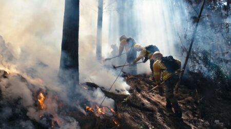 Día Nacional de Brigadistas Forestales