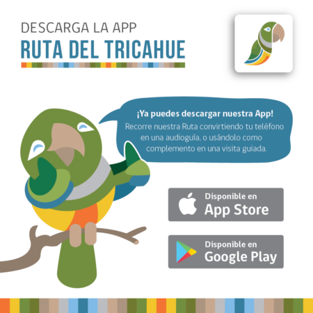 Aplicación Ruta del Tricahue