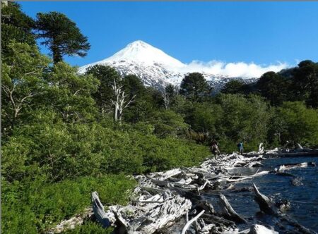 Rutas Ancestrales Araucarias