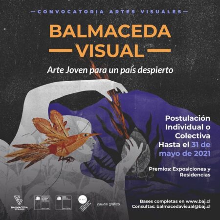 Balmaceda Visual Arte Joven para un País Despierto