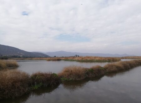 Humedal Laguna de Batuco