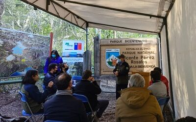 Sendero y miradores con accesibilidad universal en los Saltos del Petrohué