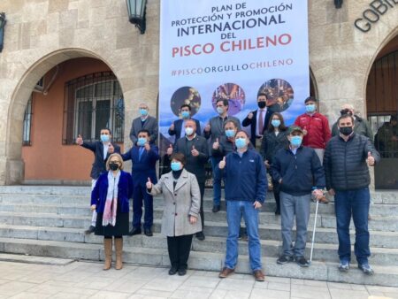 Plan de Protección y Promoción Internacional del Pisco Chileno
