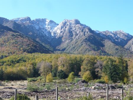 Reserva de la Biosfera Corredor Biológico Nevados de Chillán – Laguna del Laja