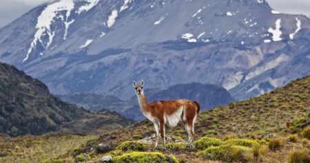 Parque Nacional Patagonia