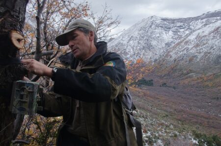 Conservación del huemul