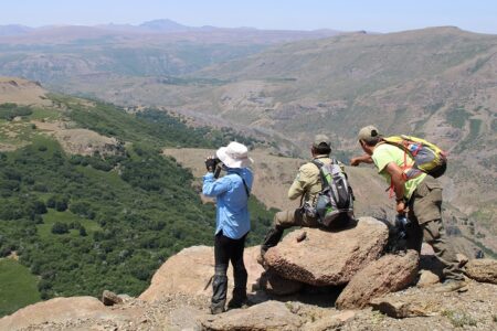 Conservación del huemul