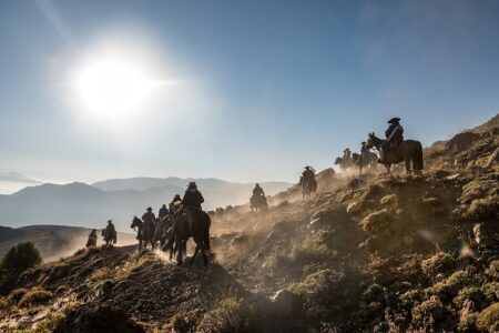 Mesa para el Desarrollo Sustentable de la Actividad Arriera- Región de O'Higgins 2021