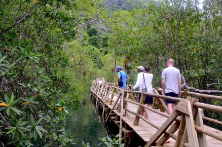 Colombia Nature Travel Mart (CNTM)