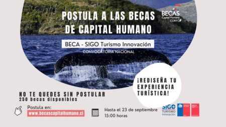 Programa de becas Capital Humano SIGO Innovación