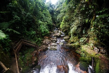 Parque Nacional Serra Dos Orgaos,