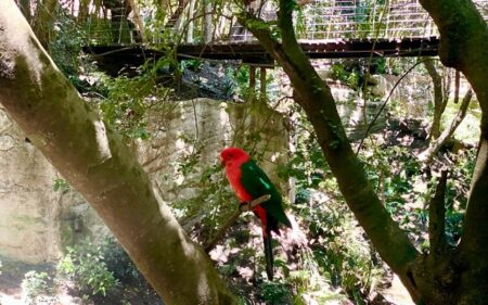 Parque Tricao Parque Tricao