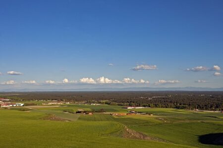 Mar de Pinares