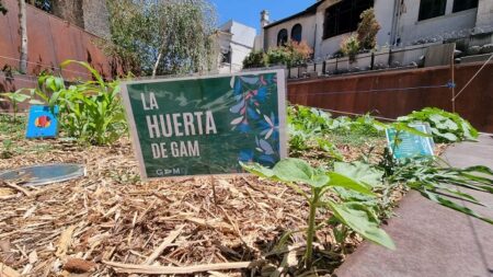 Huerta comunitaria