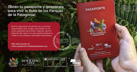 El Pasaporte es gratuito y de stock limitado.