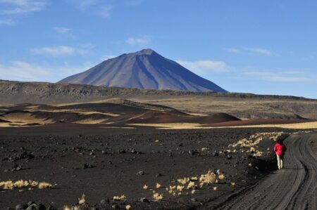 Reserva La Payunia