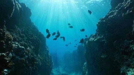 El turismo representa el 40% de la economía azul