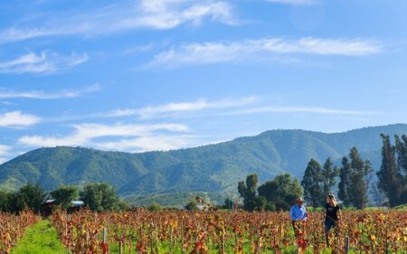 El enoturismo se han desarrollado y consolidado en la Región de Valparaíso, principalmente, en las provincias de Valparaíso, San Antonio y Aconcagua.