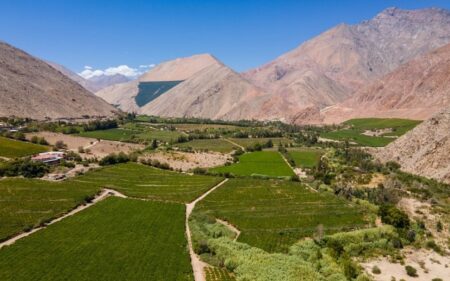 Valle del Elqui