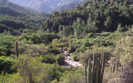 Parque Nacional Río Clarillo
