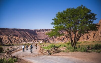 Vacaciones en San Pedro de Atacama, un destino ideal para familias aventureras