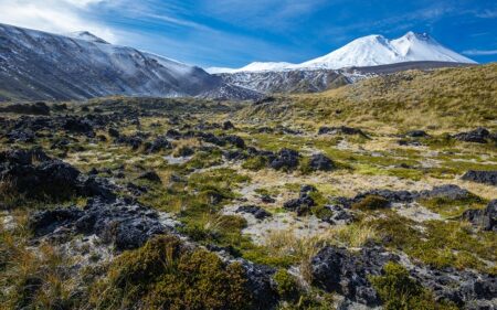 Parque Nacional Puyehue