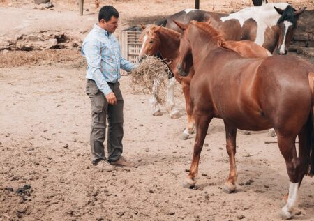 Turismo Rural Sostenible en los Campos de O’Higgins