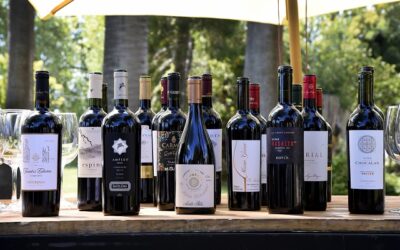 Carmenère Al Mundo: especialistas elegirán el mejor vino de Chile