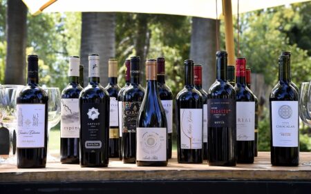 Alta calidad enológica del Carmenère 