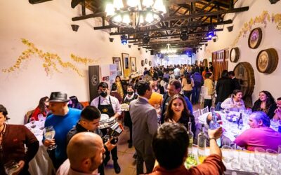 Aniversario de ANIAE y lanzamiento de “Carmenère Al Mundo” 2022