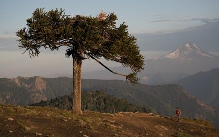 Geoparque Kutralkura