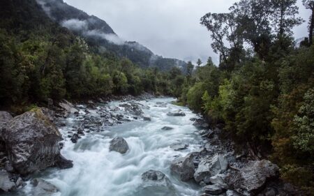 PN Hornopirén Río Blanco