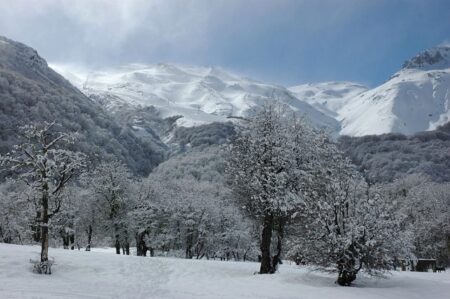 Valle Las Trancas