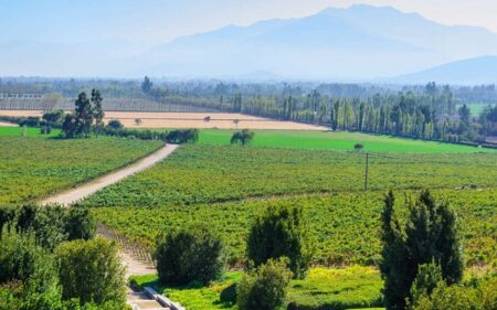 Valle del Maipo