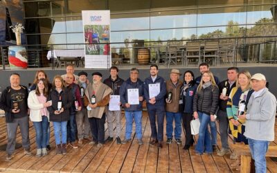 Viña Estampa abre sus puertas para venta de vinos campesinos de Colchagua