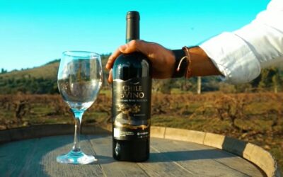 Un vino que muestra Chile a través del video, la poesía y la música