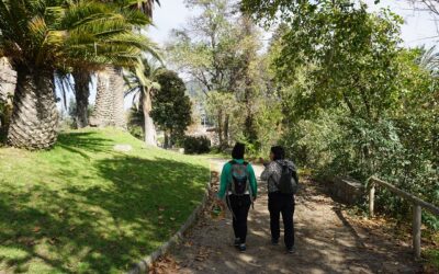 Fundación Sendero de Chile lanza “Ruta del Hongo” en el cerro San Cristóbal