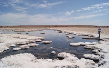 Humedal del salar de Llamara