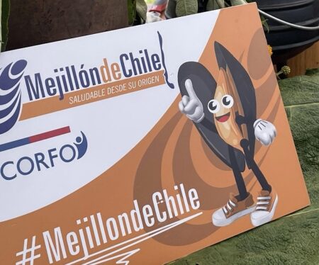 Mejillón de Chile